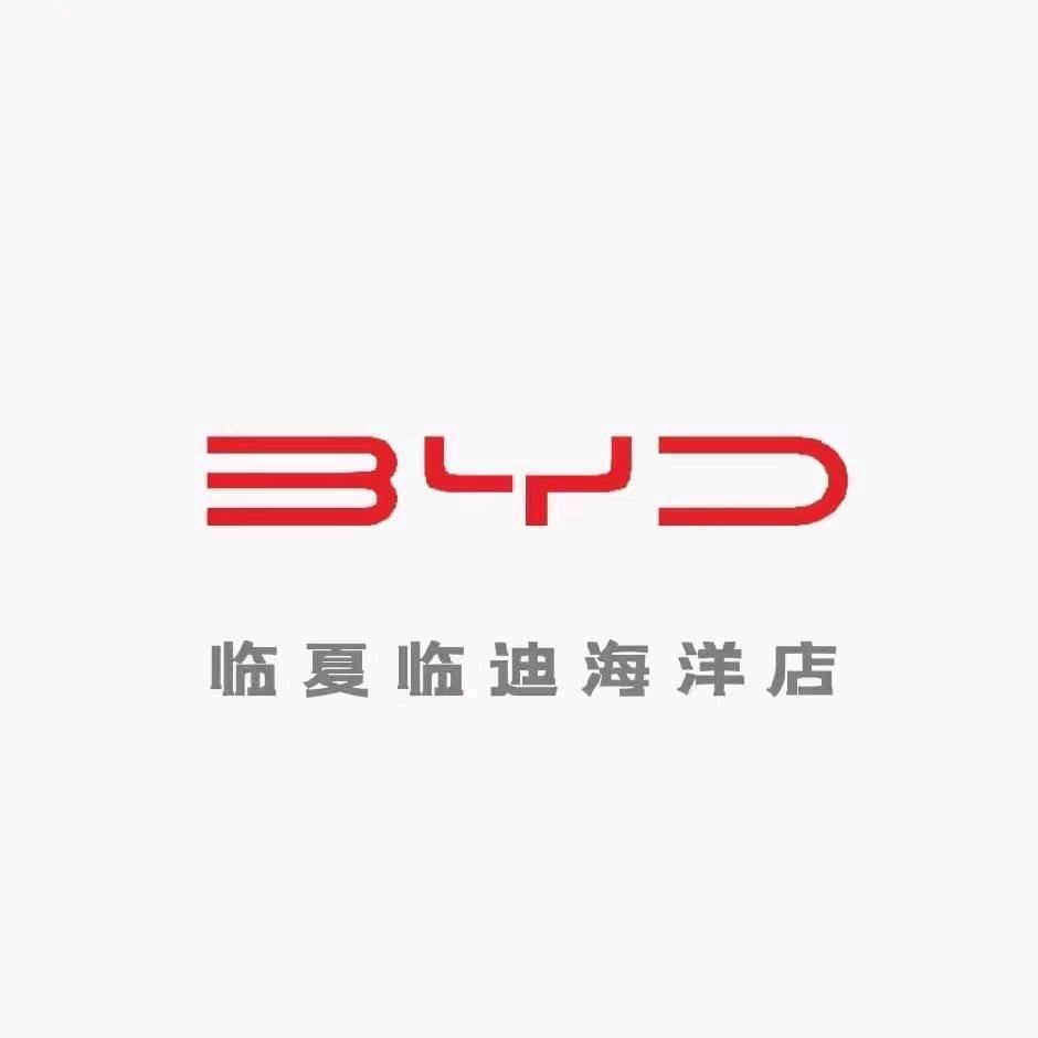 比亚迪的小任
