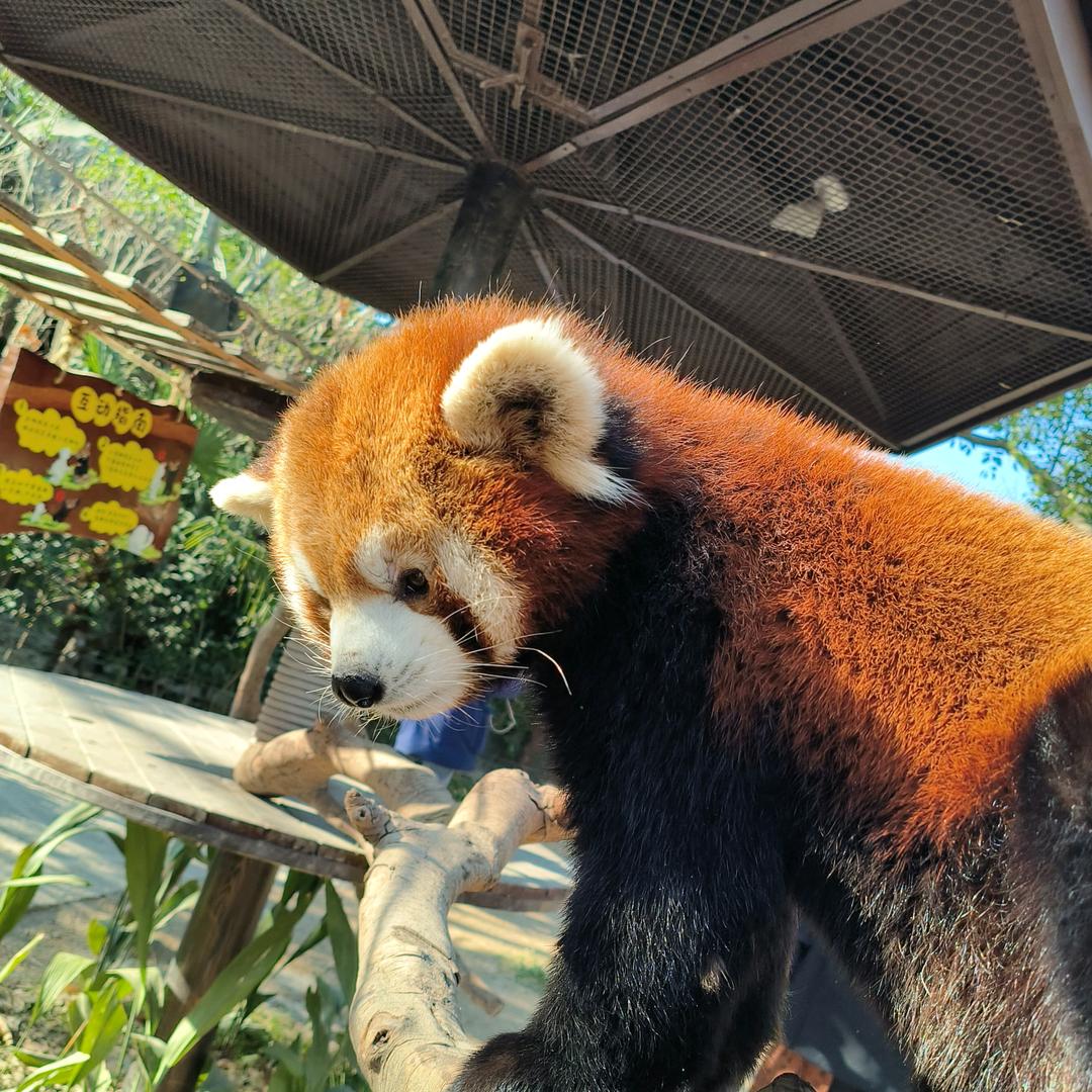听闻.