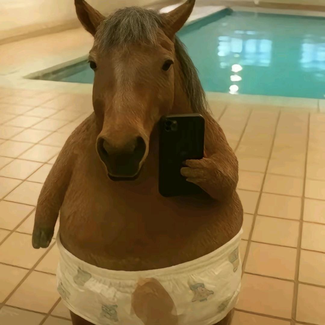 很楠不爱