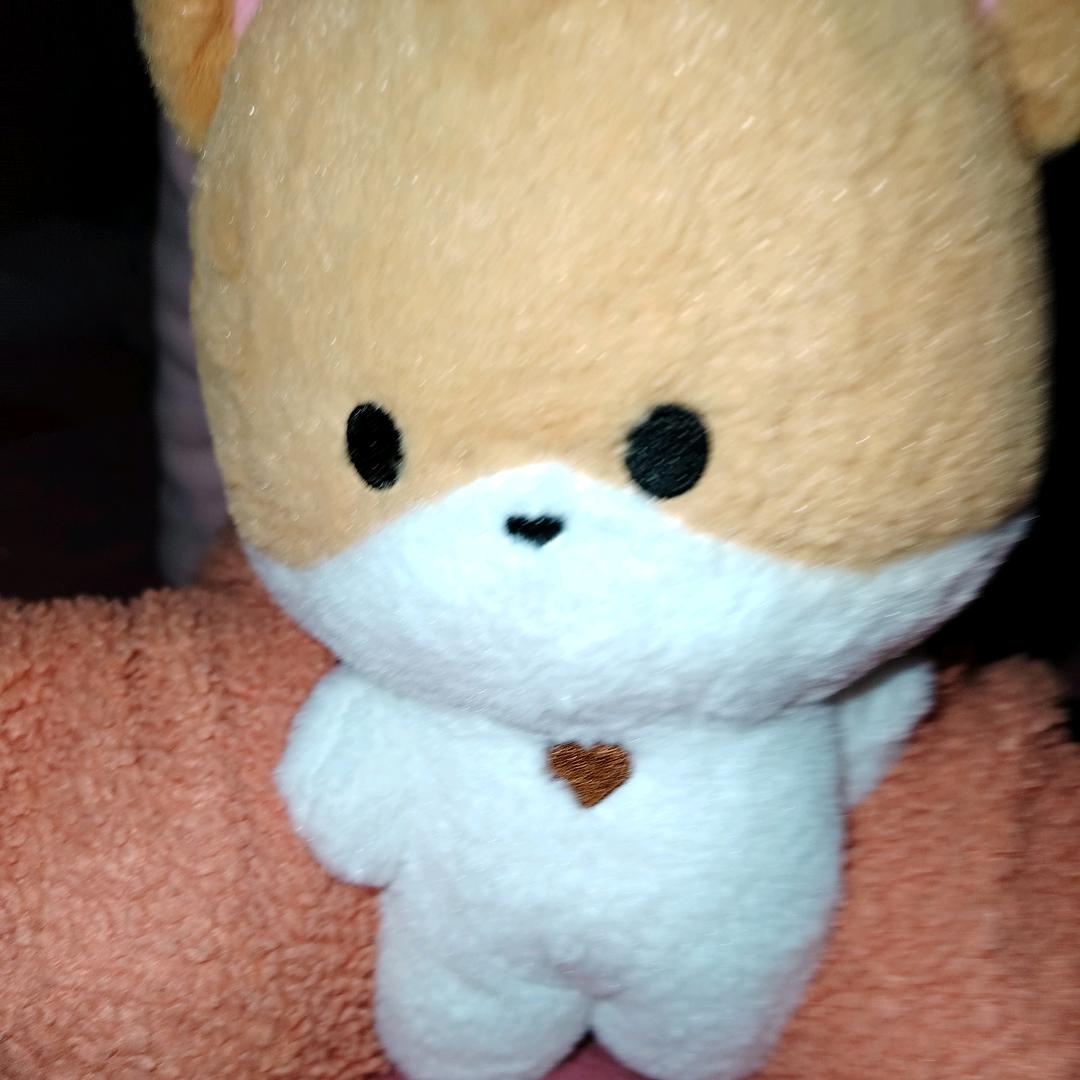 就爱磕CP（昀孟版）