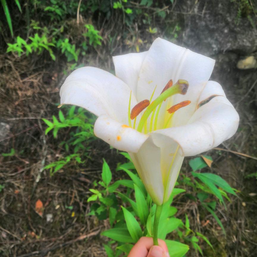 牵挂