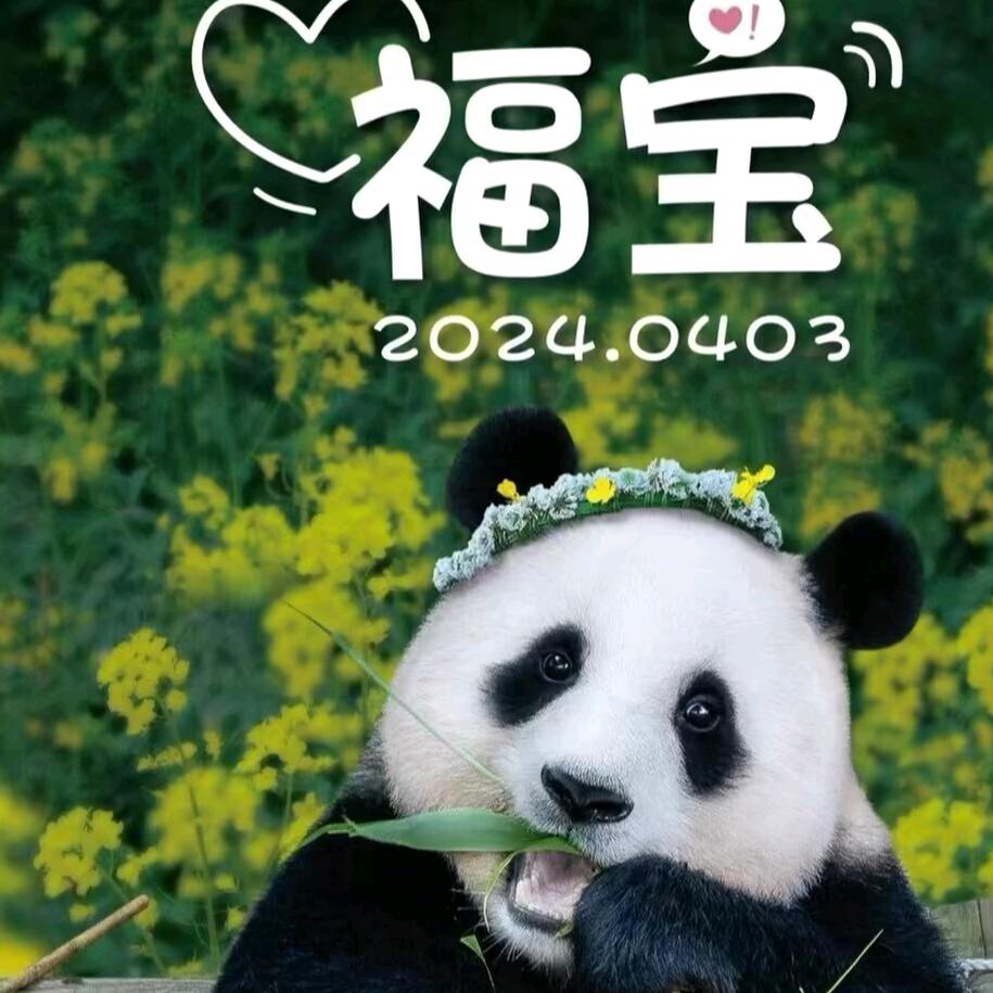 ☆❤️☆☆心上熊福宝❤️❤️❤️