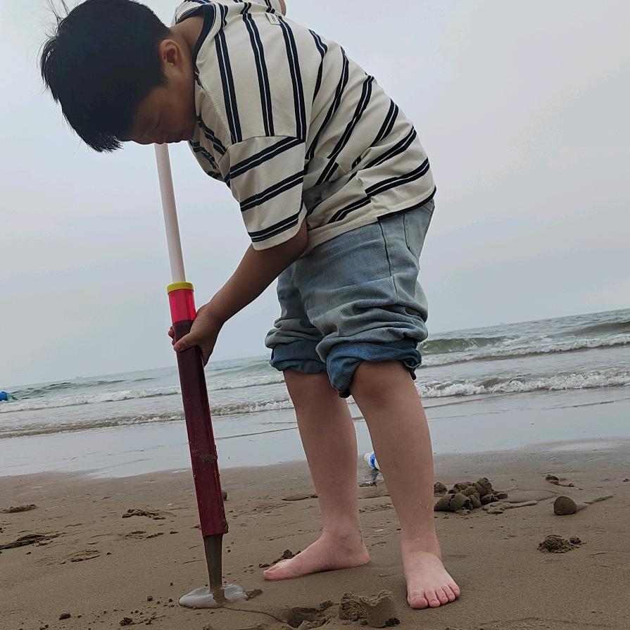 走马观花看世界