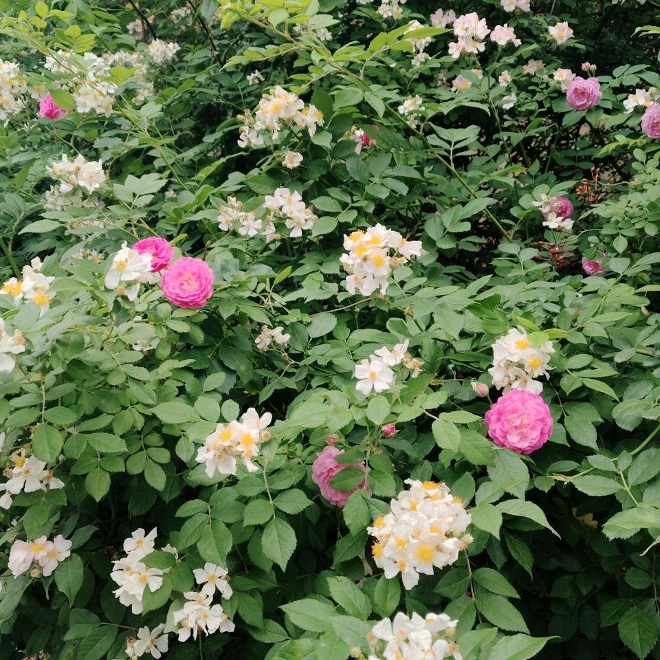 阳光~