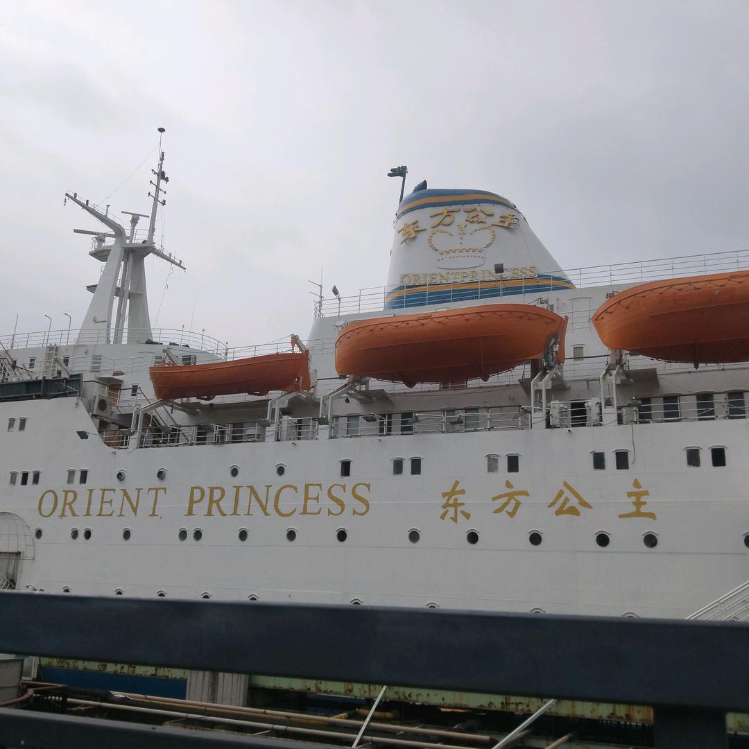 海上的海鸥