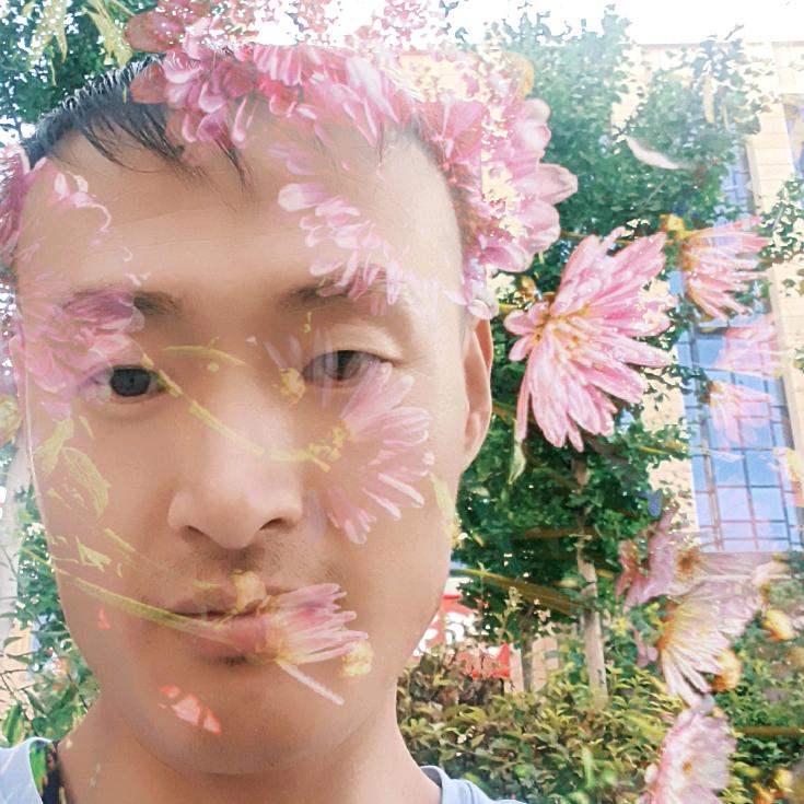 赵靖