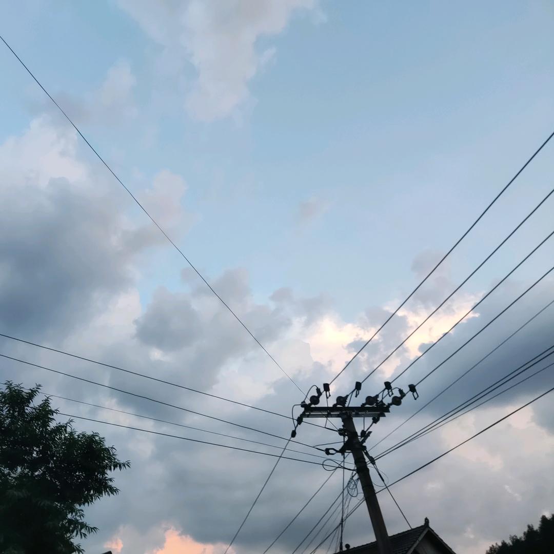 枯木