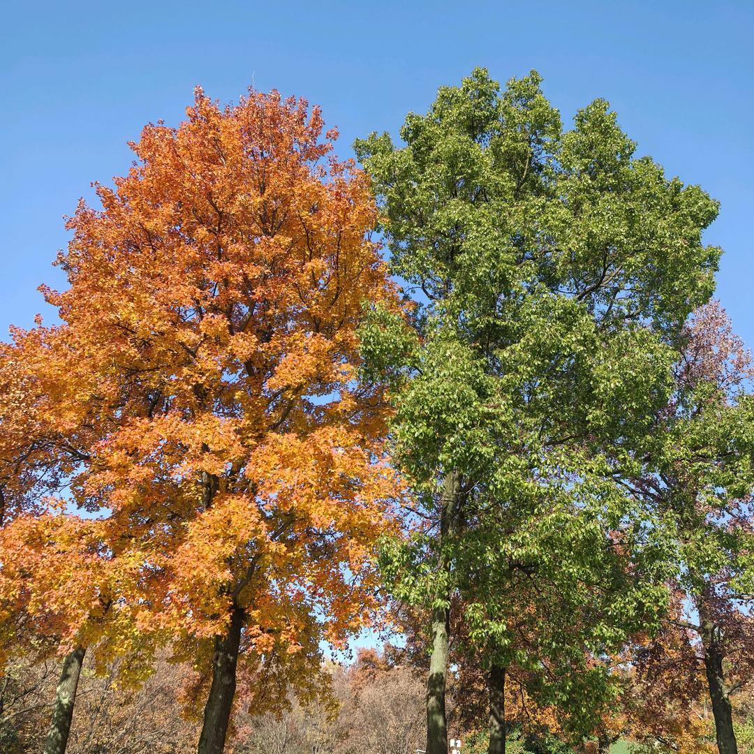 星期天@世纪联华