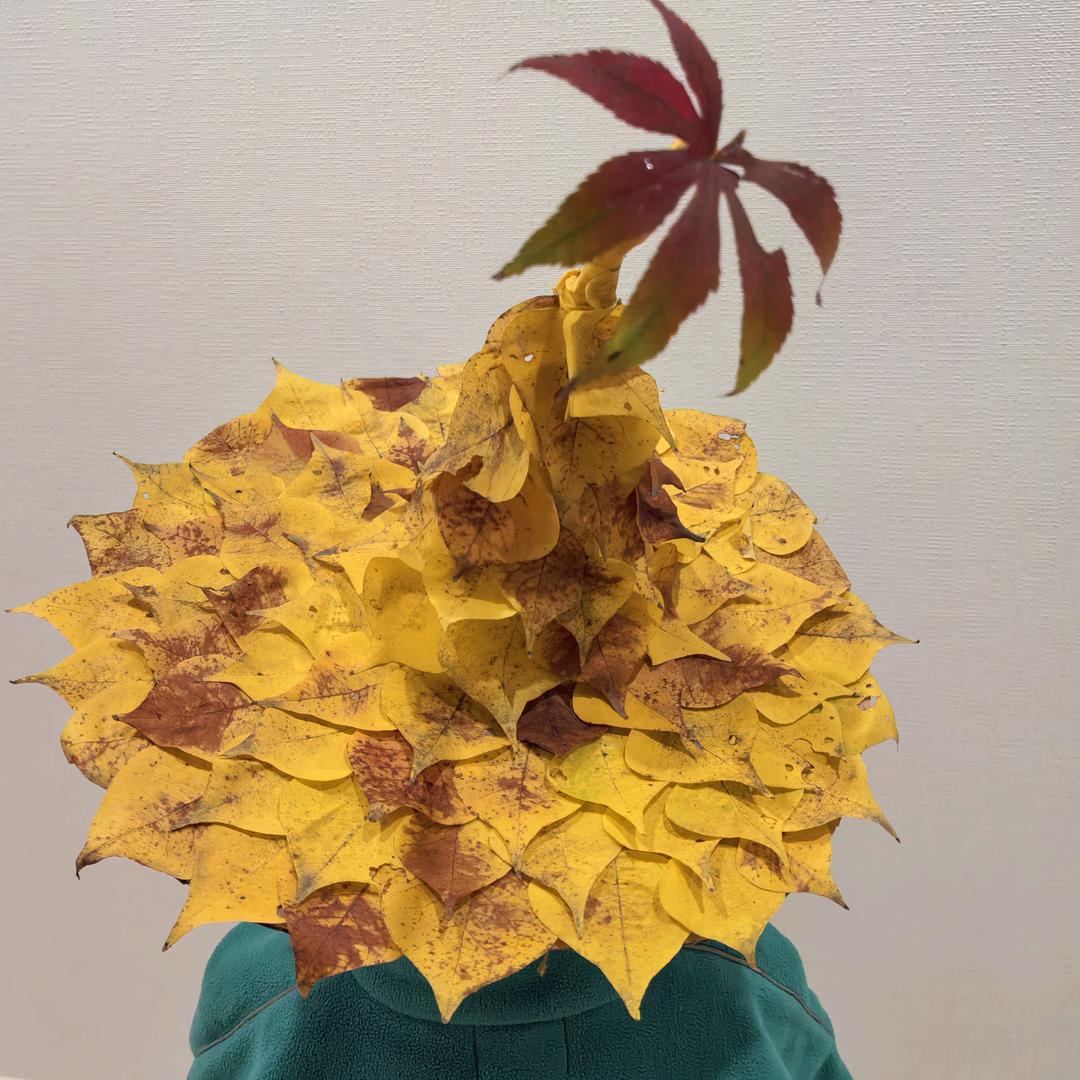 树洞里的猫（重生版）