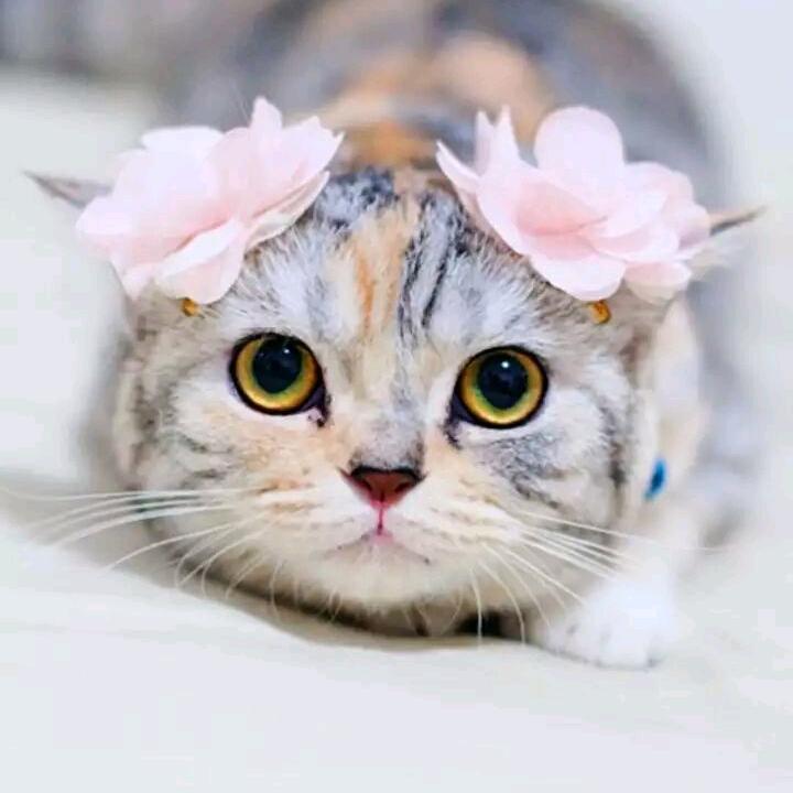 😜木在水里🤪