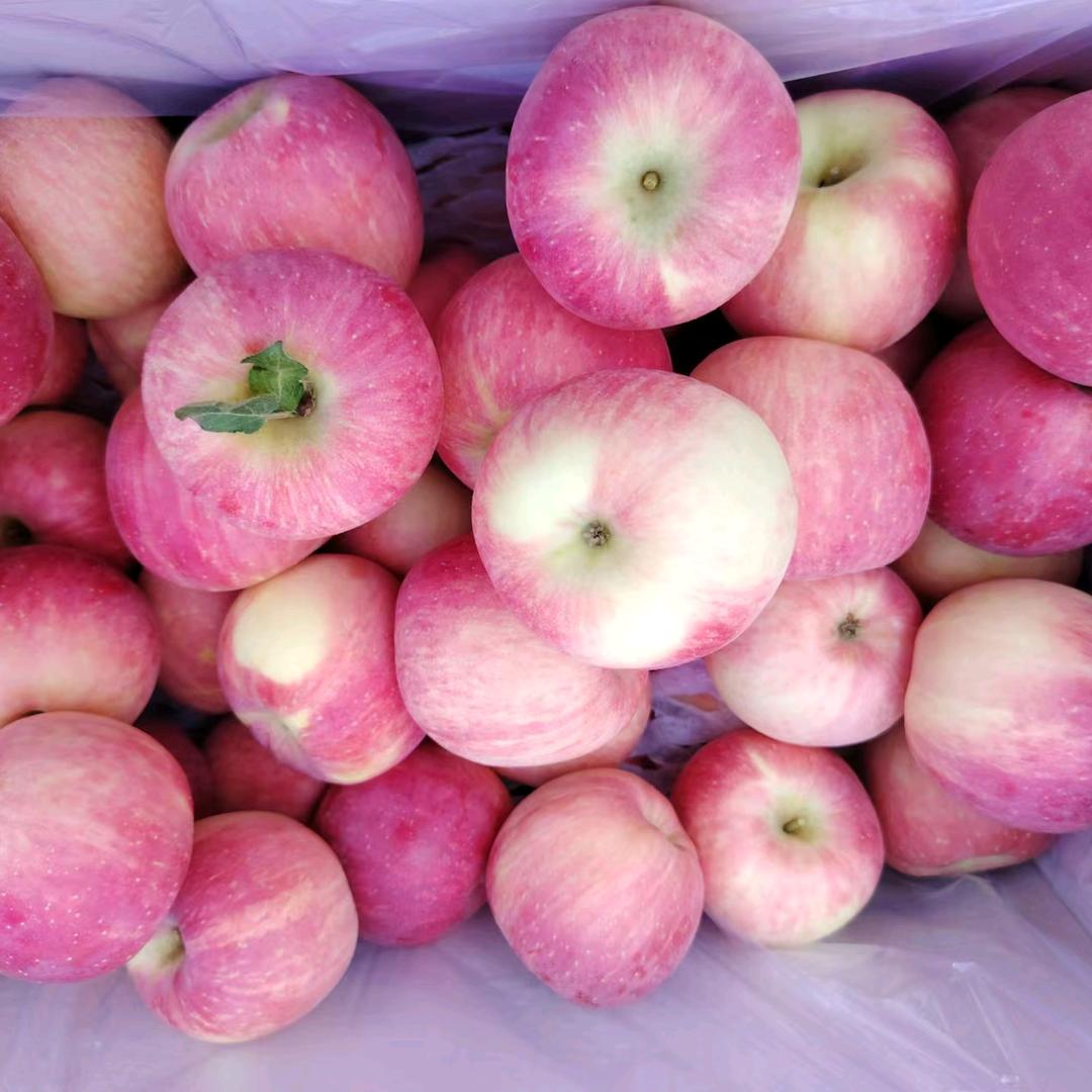 奋斗的80后，王涛