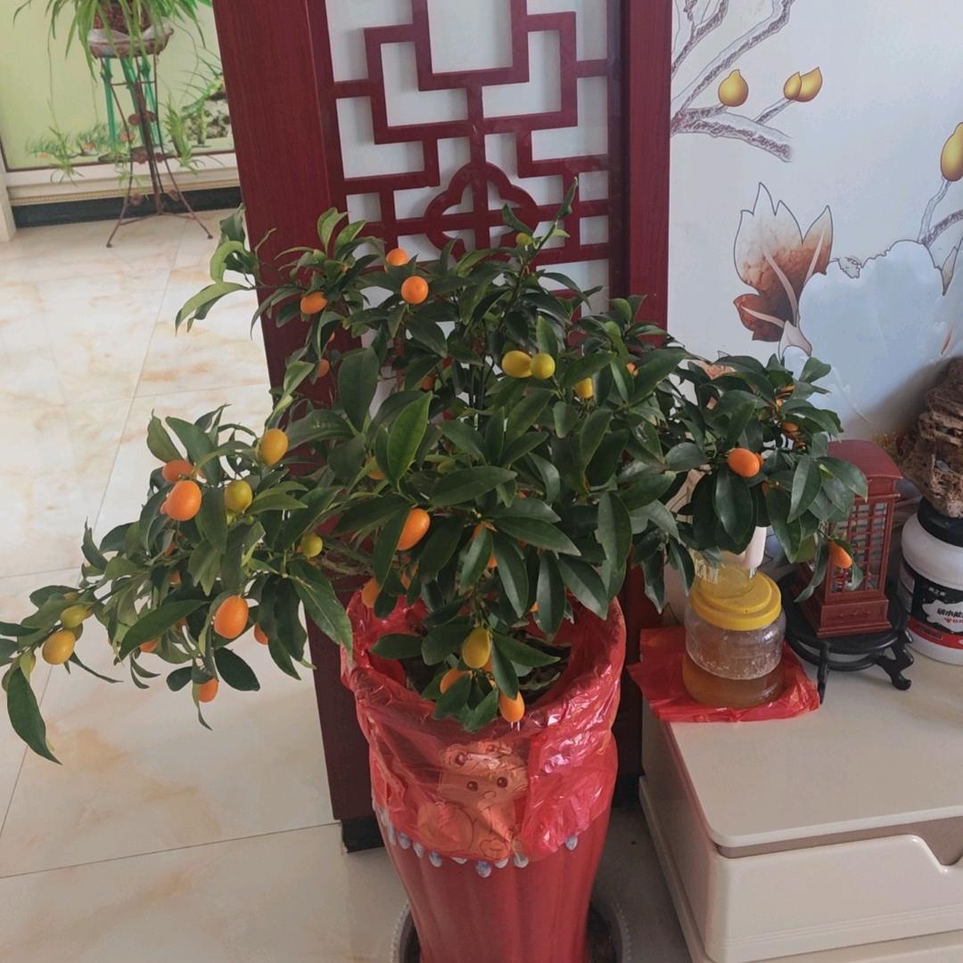 一笑而过😀😀