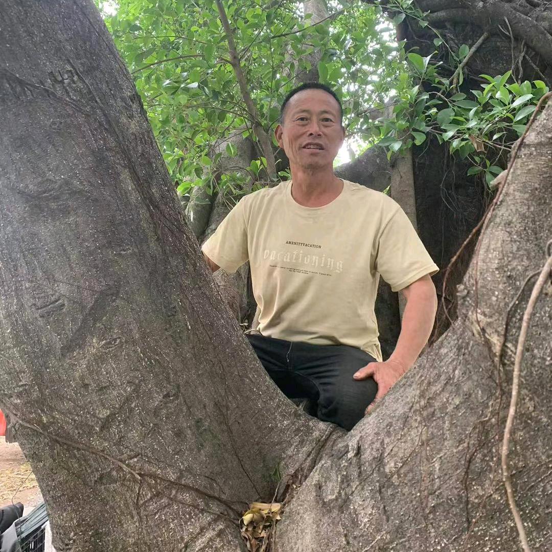 见你一面