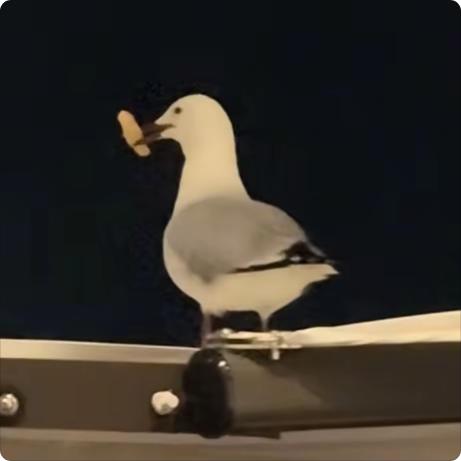 去码头整点薯条🍟🍟🍟