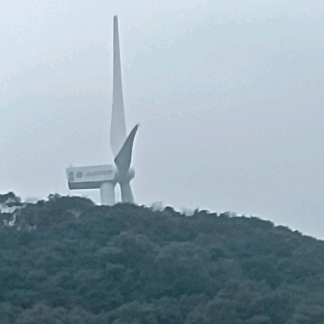 杨银娥
