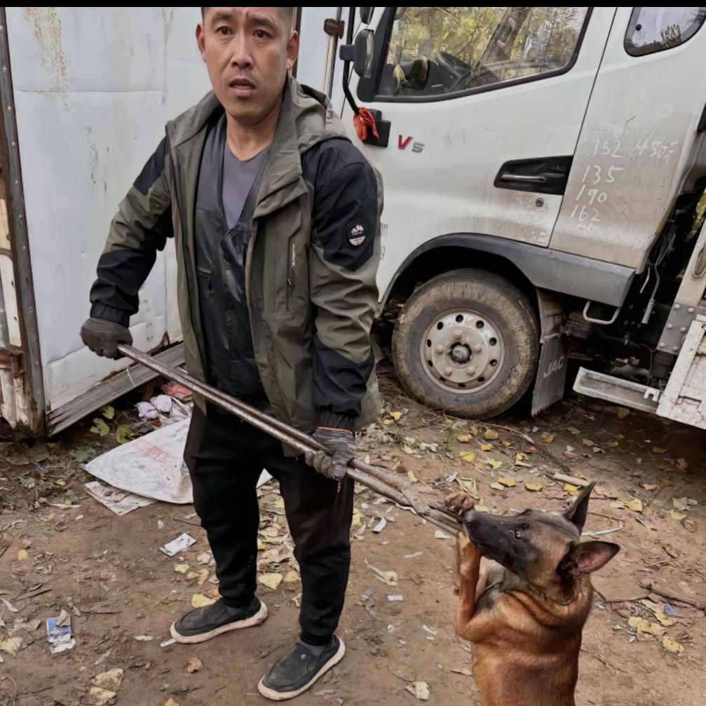 AAA套狗坤哥(专业套狗二十年)