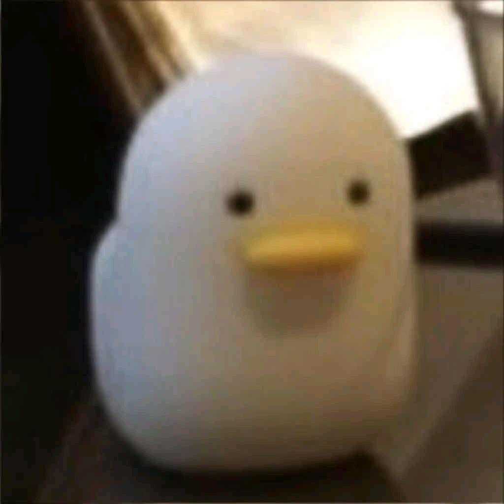 到底什么时候能不熬夜 求求我自己了