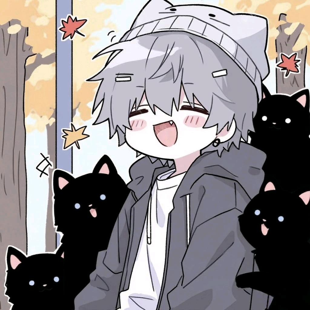 梦想养黑猫