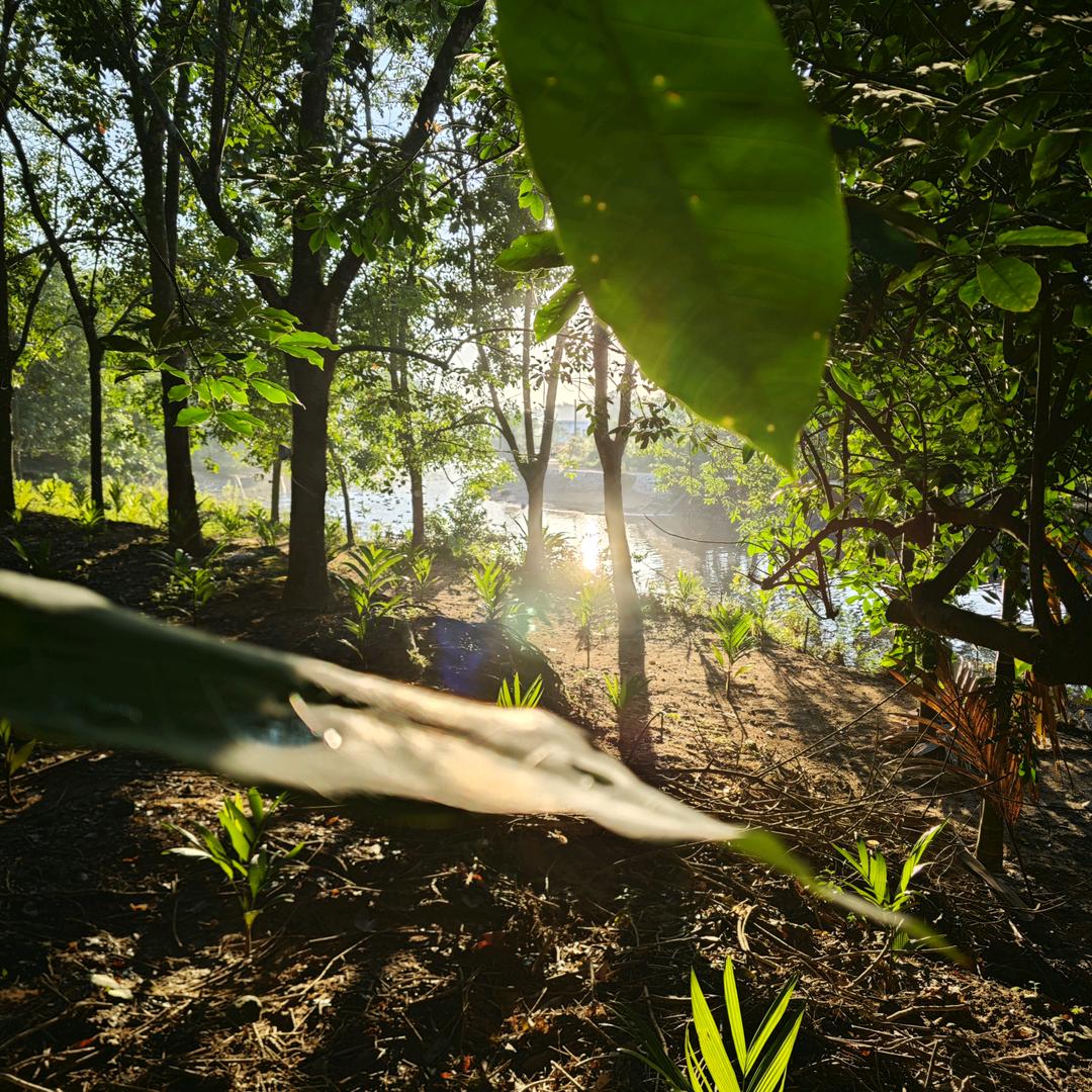 机甲战队-橘子君
