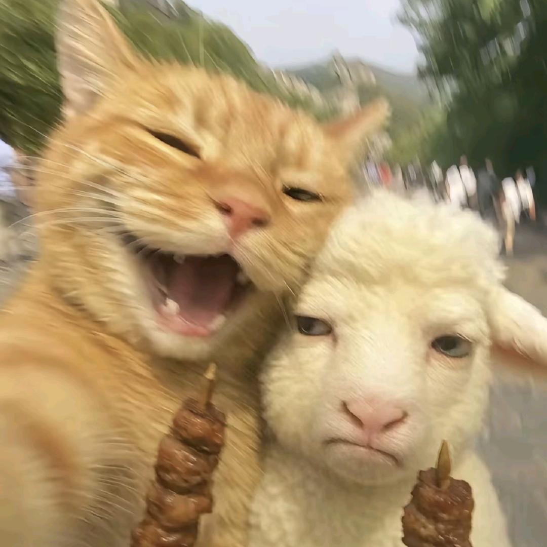 ﹎蟹老板