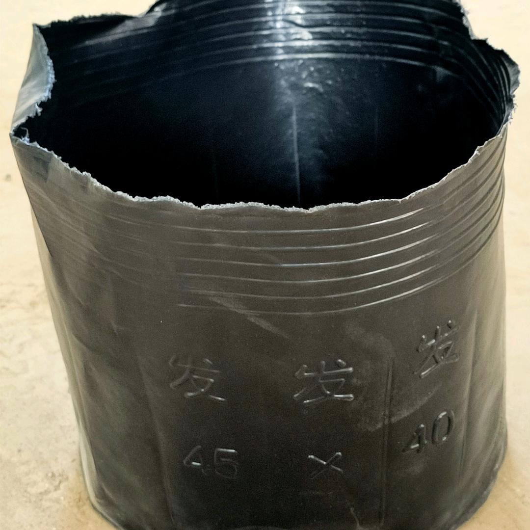 金寨桶桶发天麻营养桶