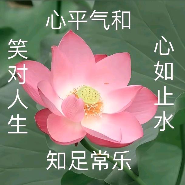 小王在练字