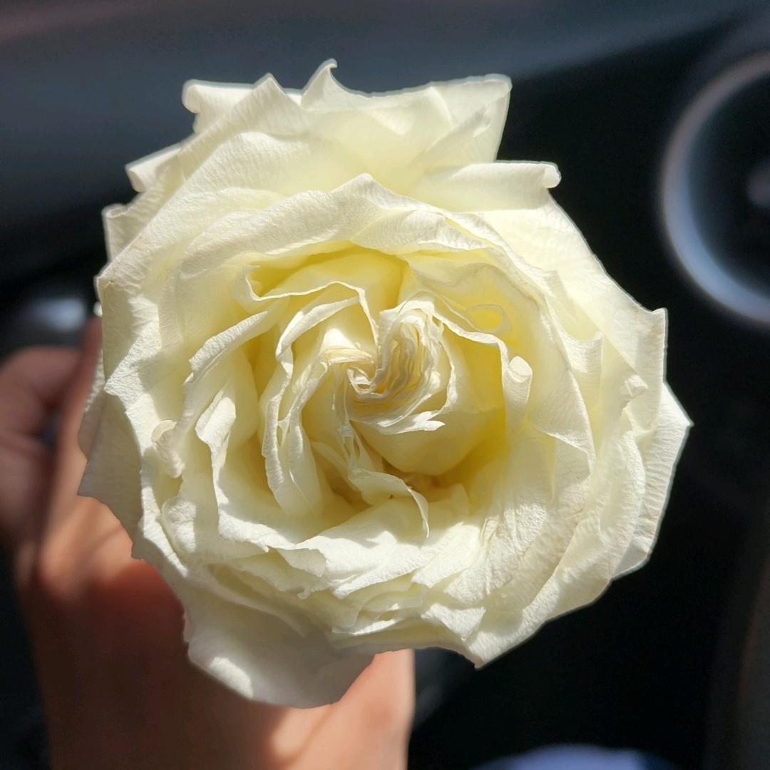 💖ღ微笑᭄钱ღ行᭄ꦿ꯭💖