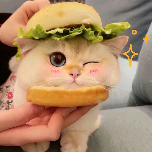 小玥