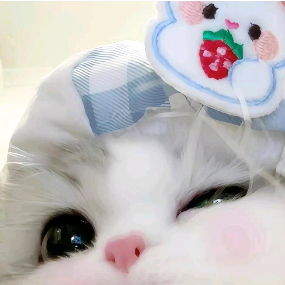 稚㭍㭍
