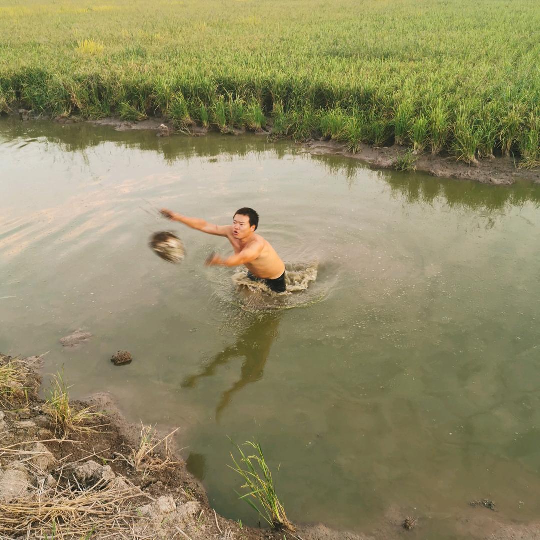 林哥生态甲鱼养殖