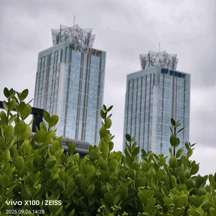 风中男人周大大🥕