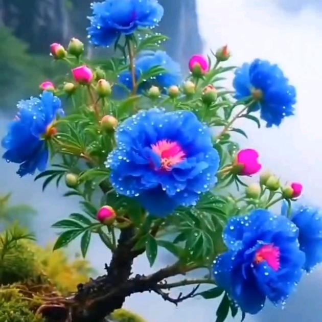 穷开❤️