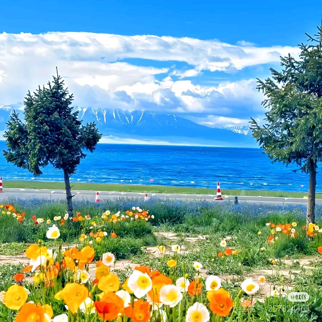 工学院御街（淀粉肠）