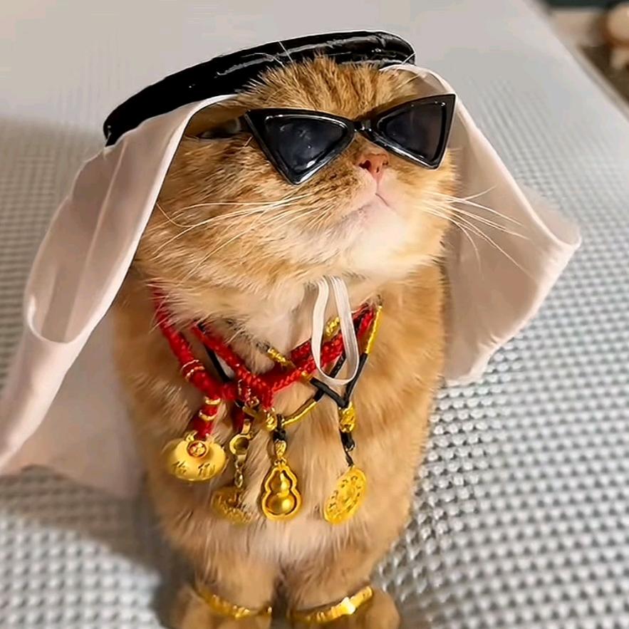 糊里糊涂的胡图图