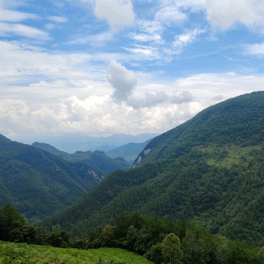 张静陌1992（工厂庄稼汉）