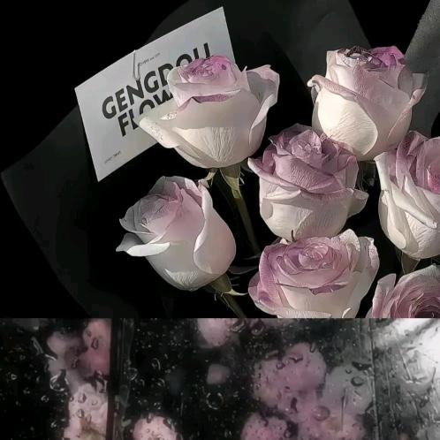 晚风寄温柔