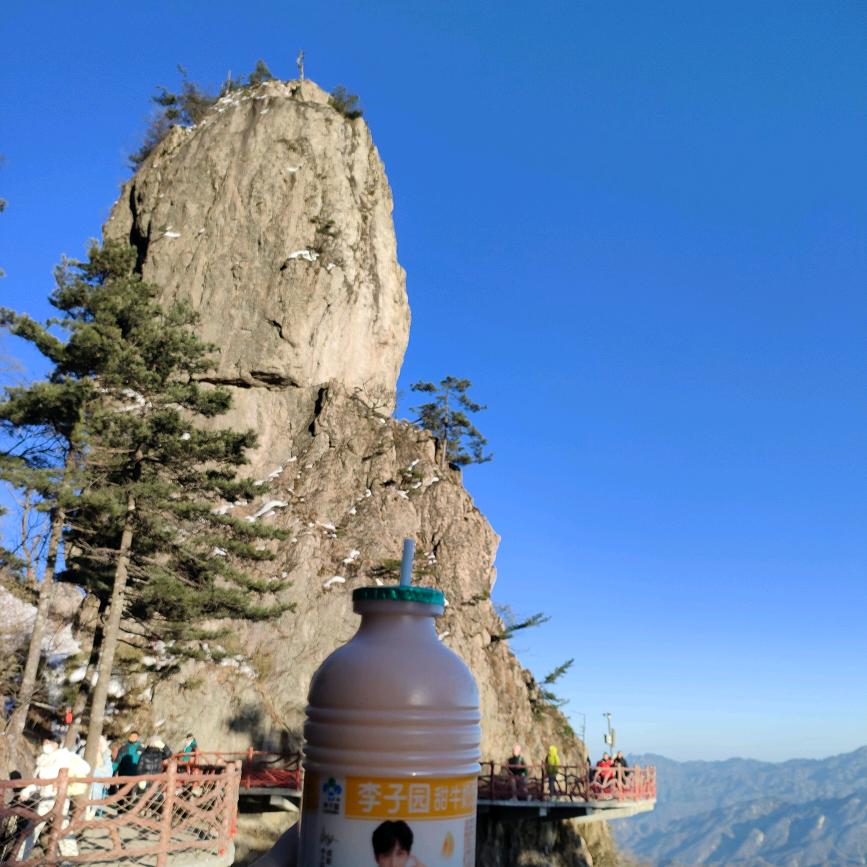 产后恢复丽丽姐💕💕