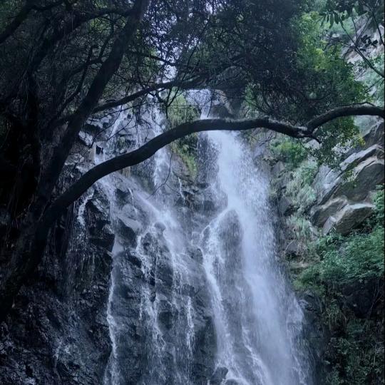 缘情天居