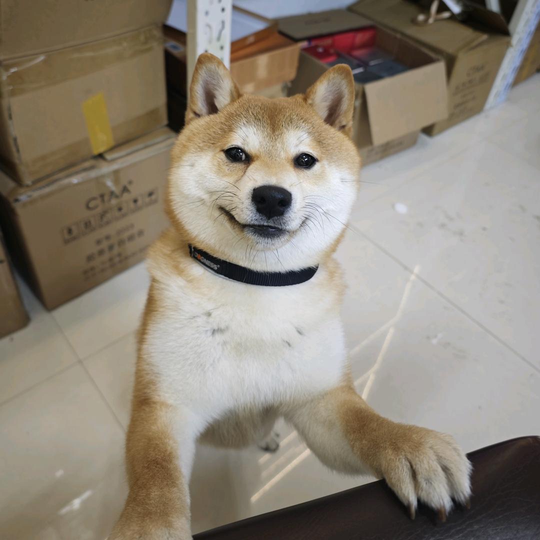 芈成生活坊