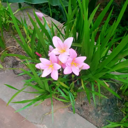 余生为自己而活