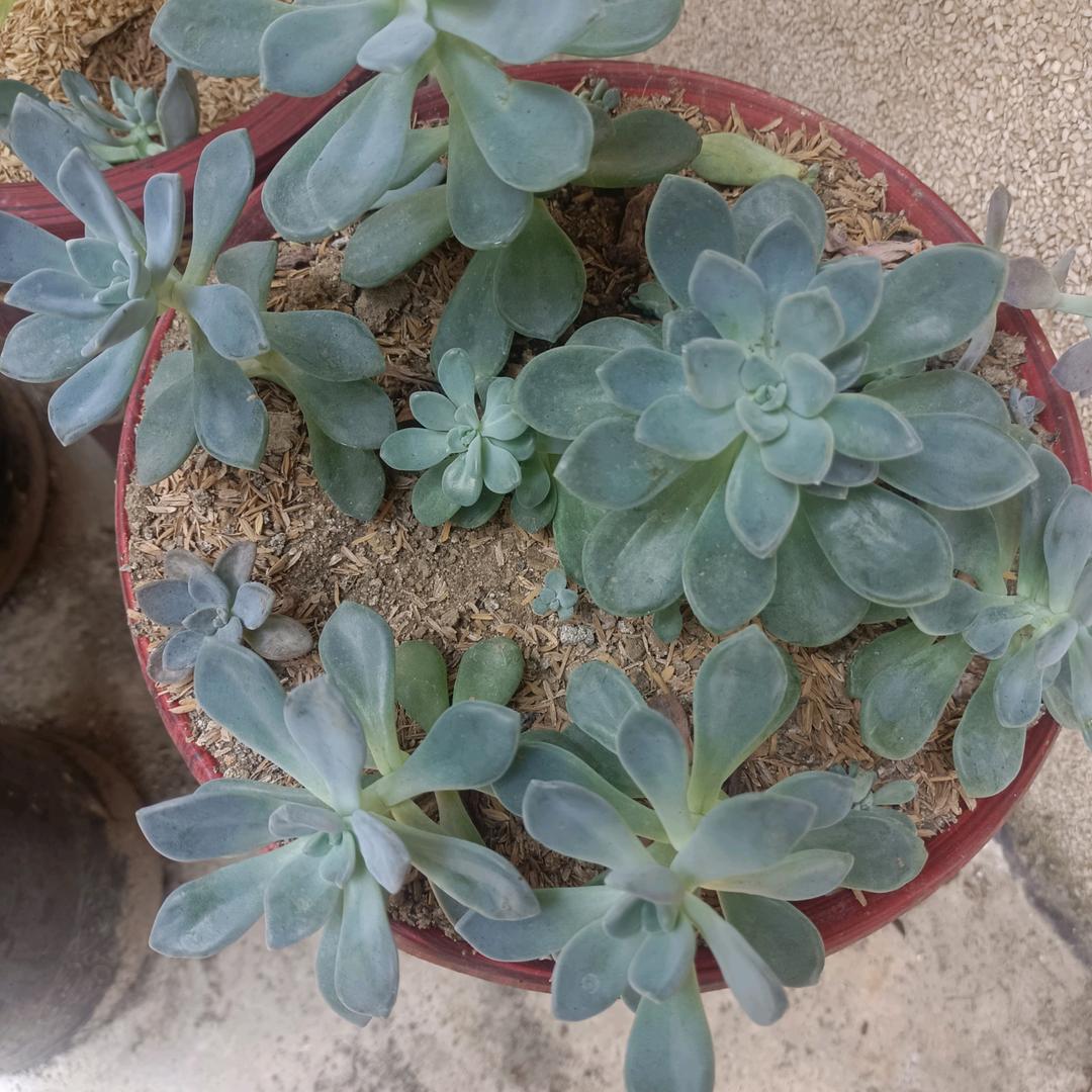 人生没有回头路