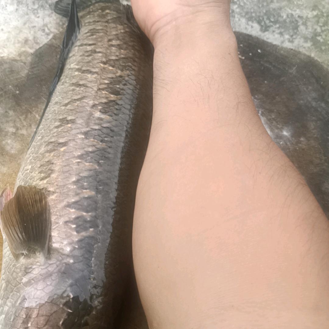 前途似锦，十九