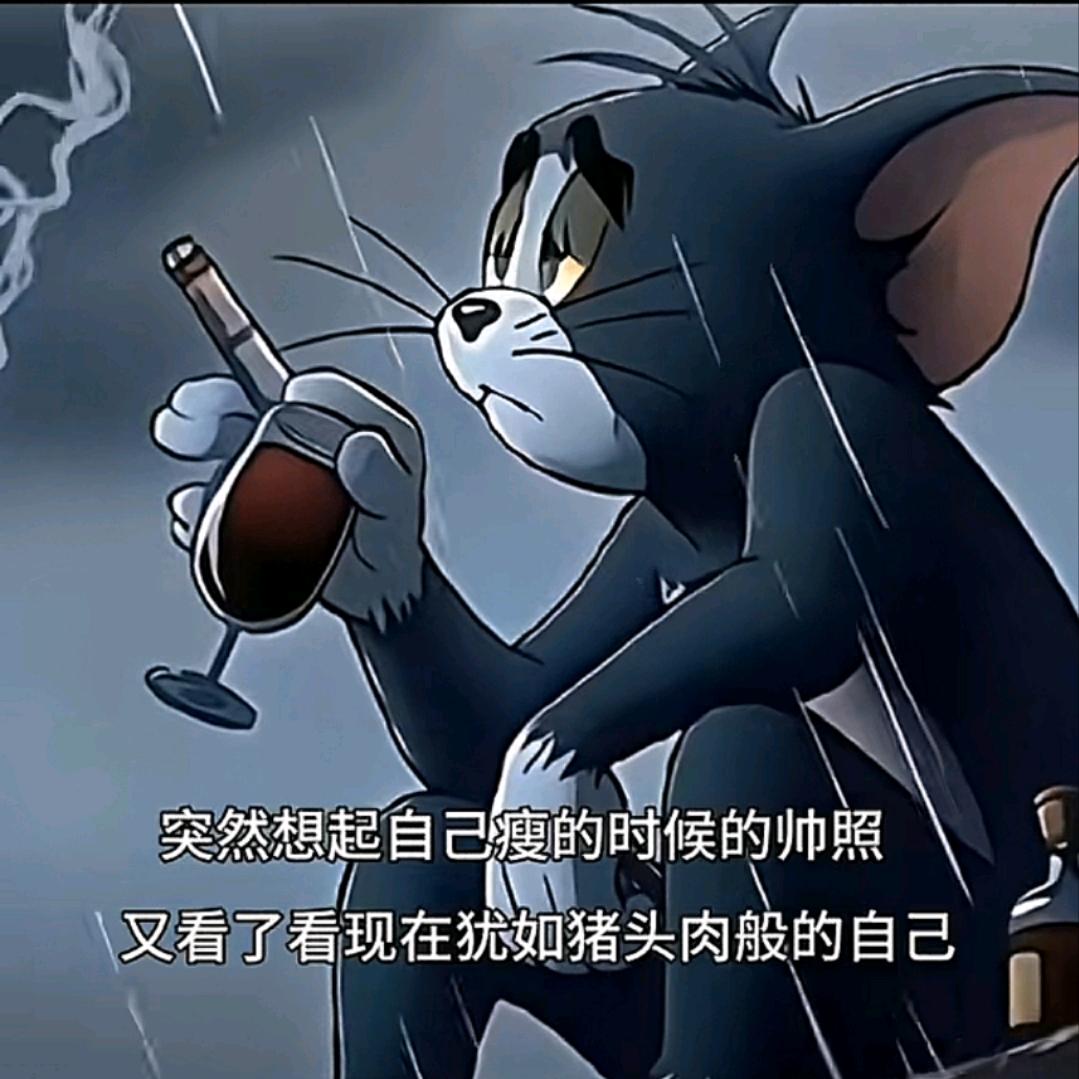 不打篮球（四级必过版）