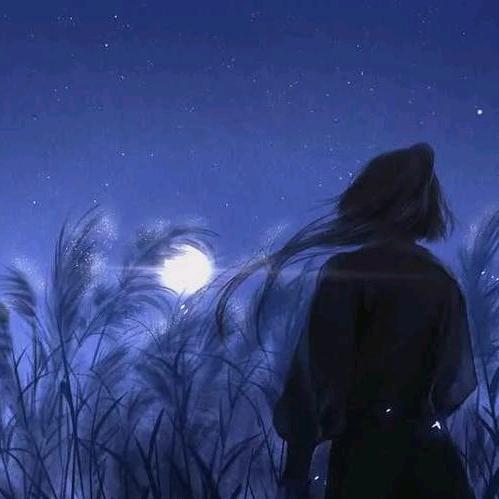 浅