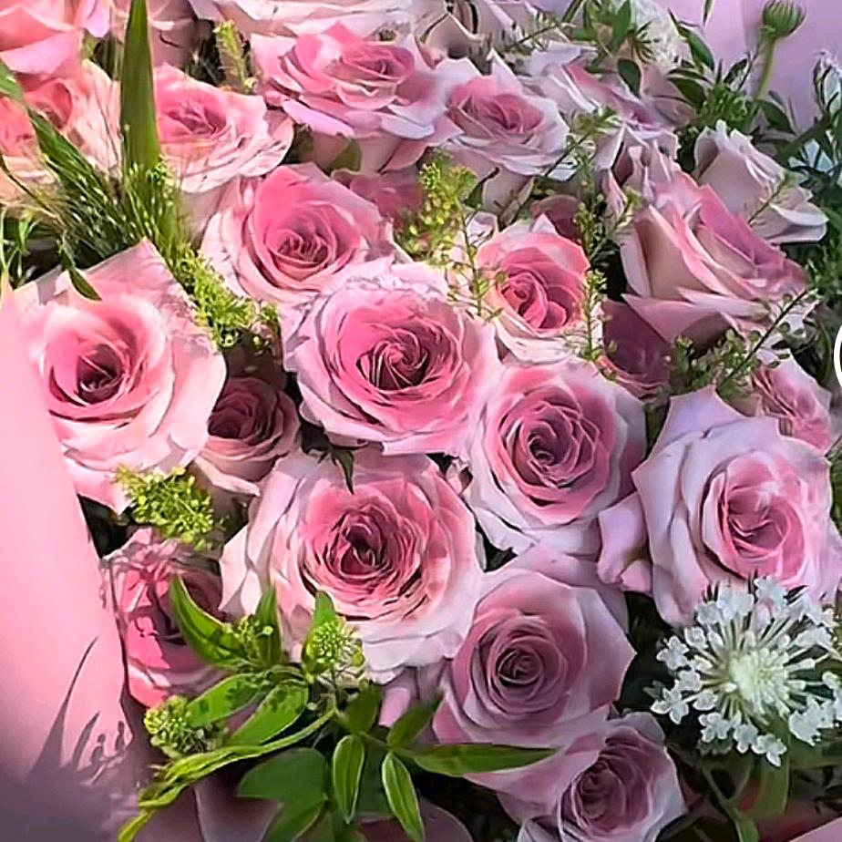 远嫁姑娘🌹