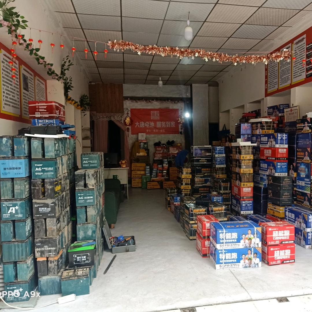 盐亭大唐电池批发