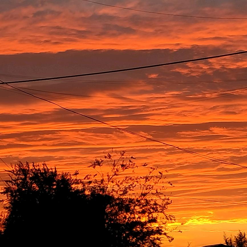 陪读老爸【如是观】