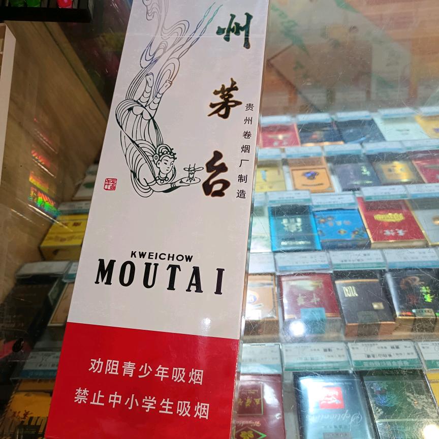 你喜欢编我就陪你演