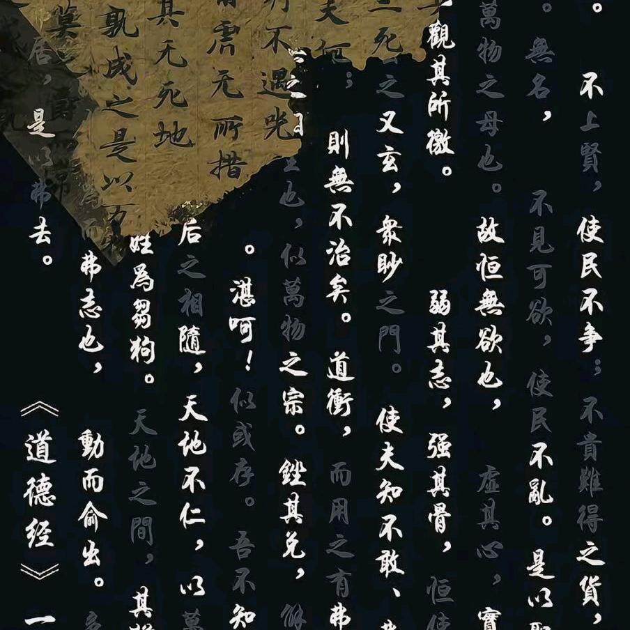 做饭