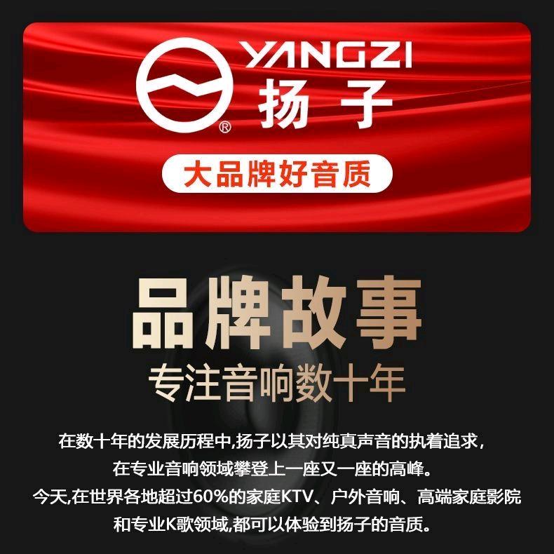 扬子广州索威立电子科技有限公司影音专卖店